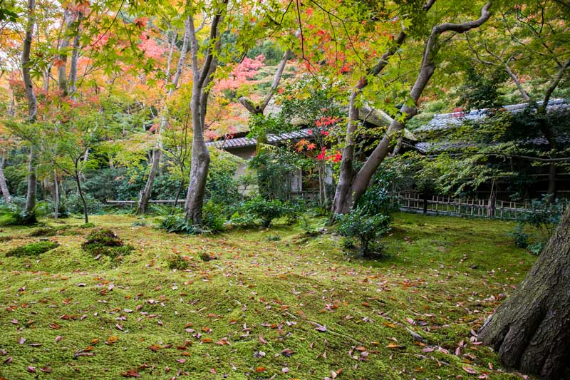 Gio-ji Temple in Autumn