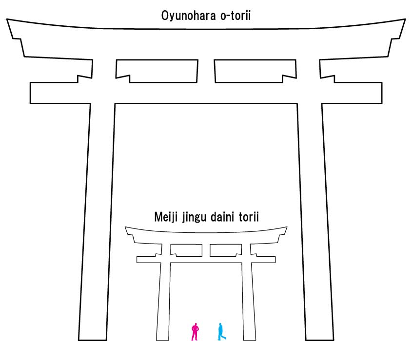 torii size comparison