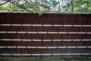 Shiba-gaki at Katsura Temple