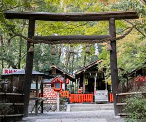 image of kuroki torii