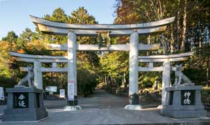 image of mitsu torii