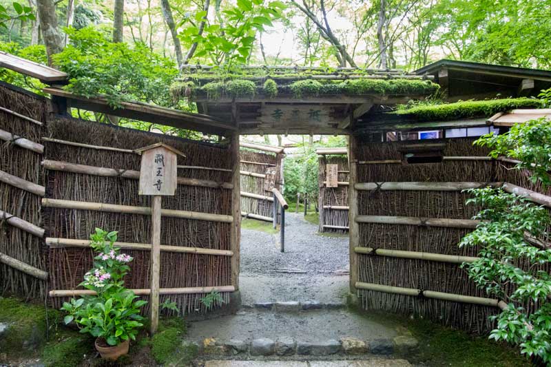 Entrance of Gio-ji Temple