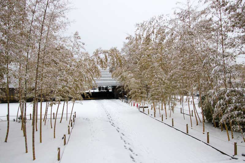 Nakagawa-machi Bato Hiroshige Museum of Art Approach